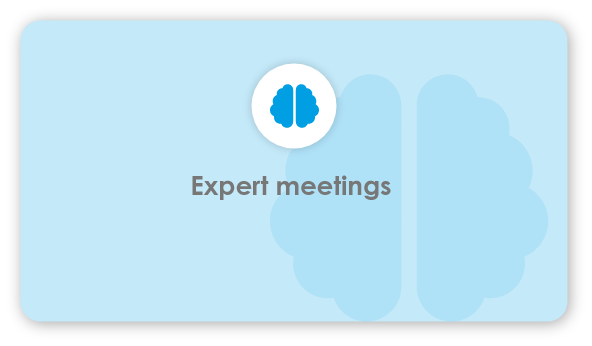 expert meetings expert meetings