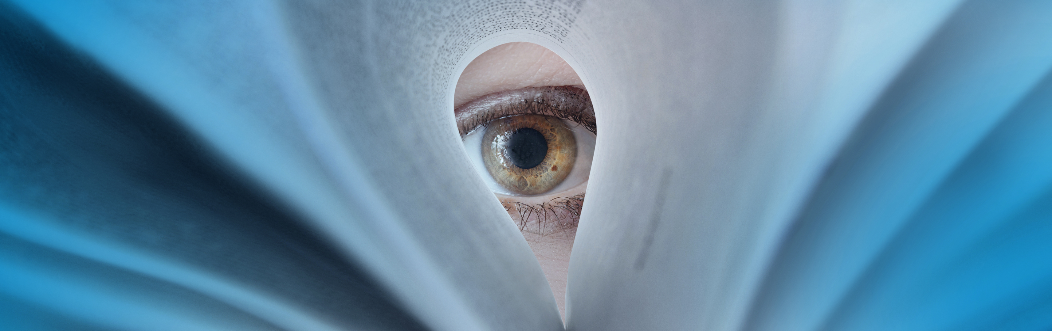 Publication Artikel_Auge Kopie